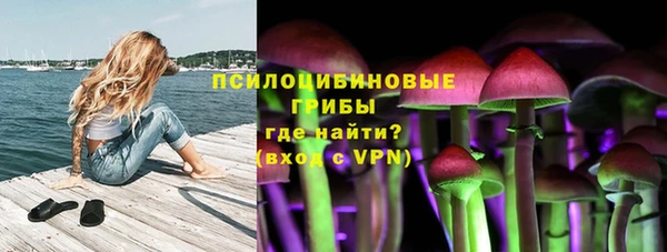 дживик Белоозёрский