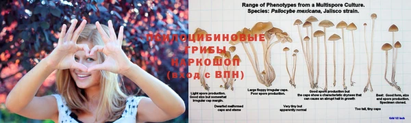 метадон Беломорск