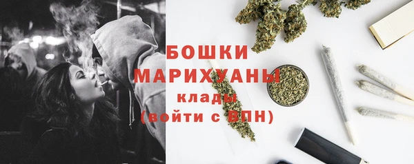 индика Богородск