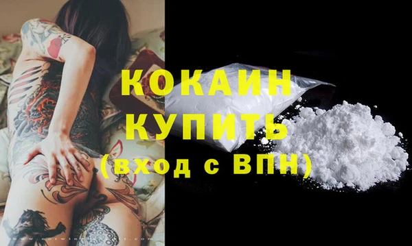 дживик Белоозёрский