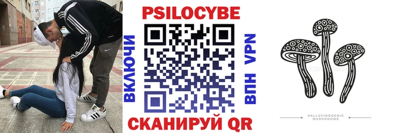 Купить где  Данков  Галлюциногенные грибы Cubensis 